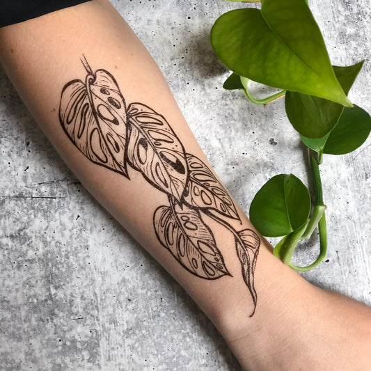 Monstera Vine Temporary Tattoo