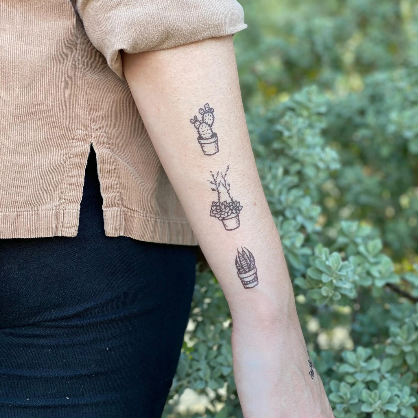 Potted Cactus Temporary Tattoo